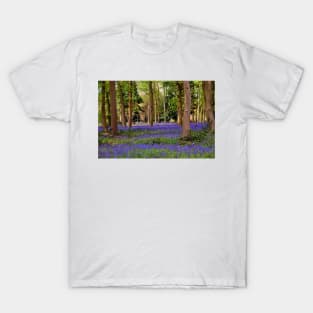 Bluebells Bluebell Woods Basildon Park Berkshire T-Shirt
